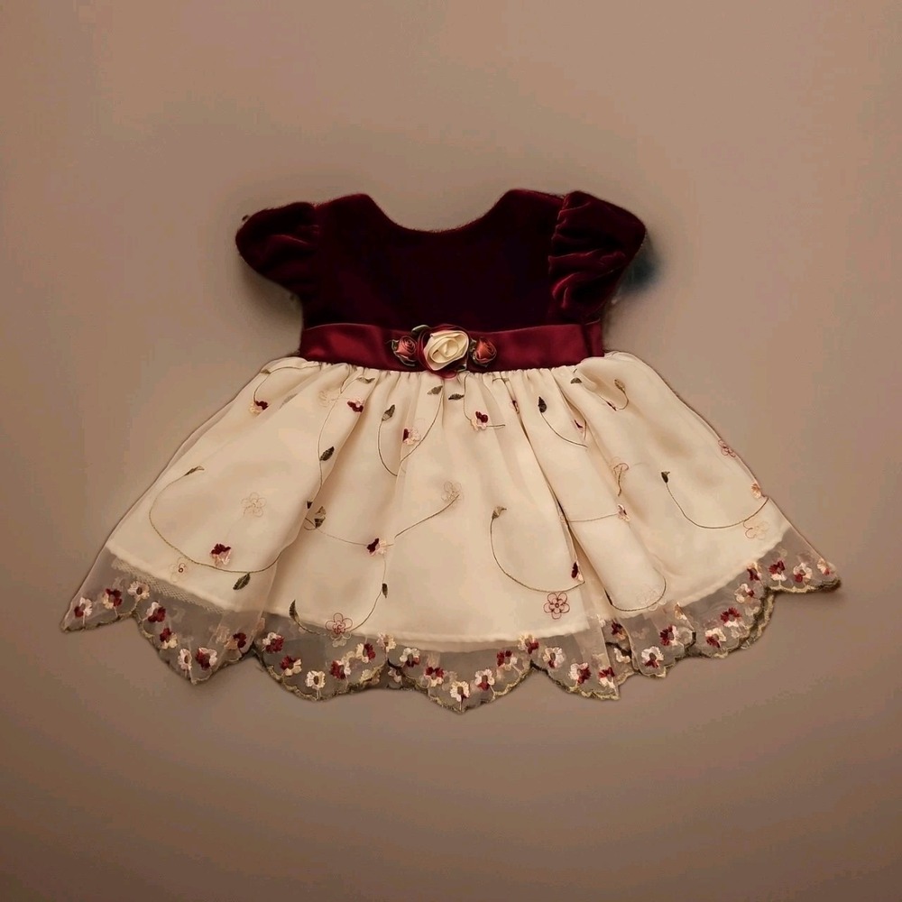 Youngland Newborn Burgundy & Off White Floral Embroidered Special Occasion Dress